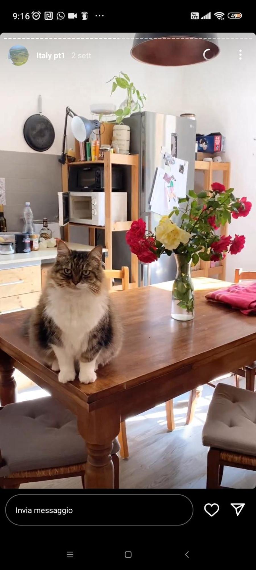 דירות פרוג'ה Boh & Boh A Casa Di Luca And His Cats מראה חיצוני תמונה