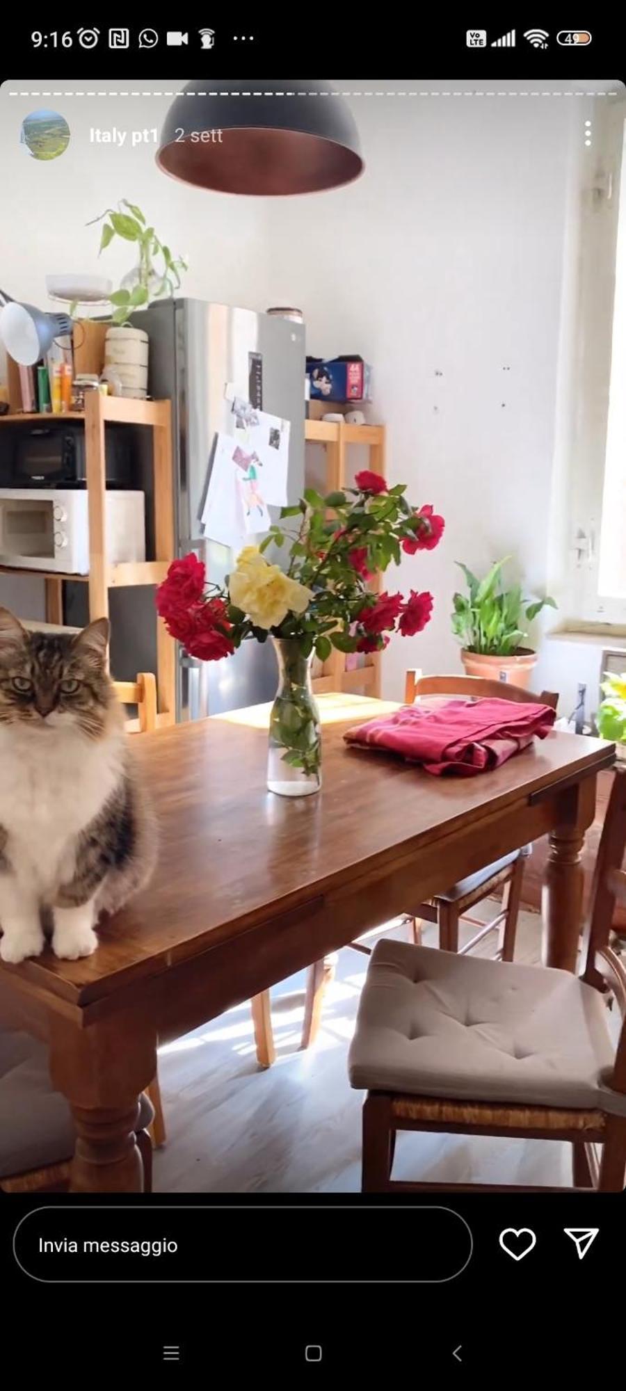 דירות פרוג'ה Boh & Boh A Casa Di Luca And His Cats מראה חיצוני תמונה